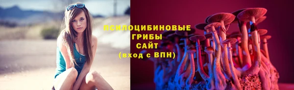 прущие крисы Гусь-Хрустальный