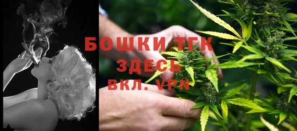 прущие крисы Гусь-Хрустальный