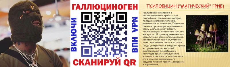Псилоцибиновые грибы мицелий  наркотики  Элиста 