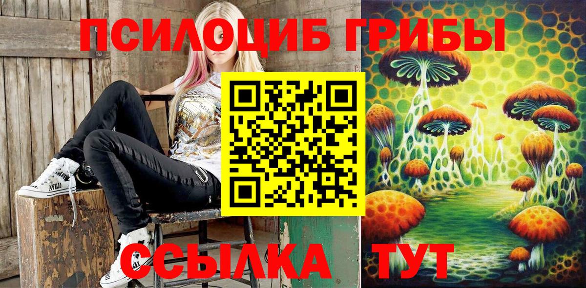 Псилоцибиновые грибы прущие грибы  Вход с VPN  Элиста 